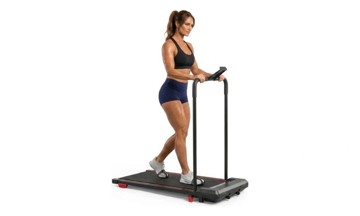 ⚠️ Esteira Ergométrica Elétrica Dobrável Residencial Cardio