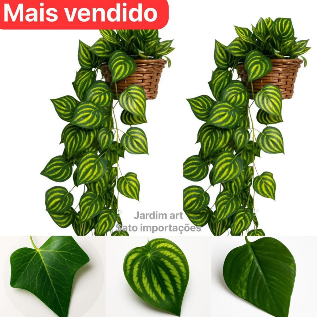 Kit : 3 Trepadeira de Folha De HERA + 1 Vaso Trançado - Arranjo completo