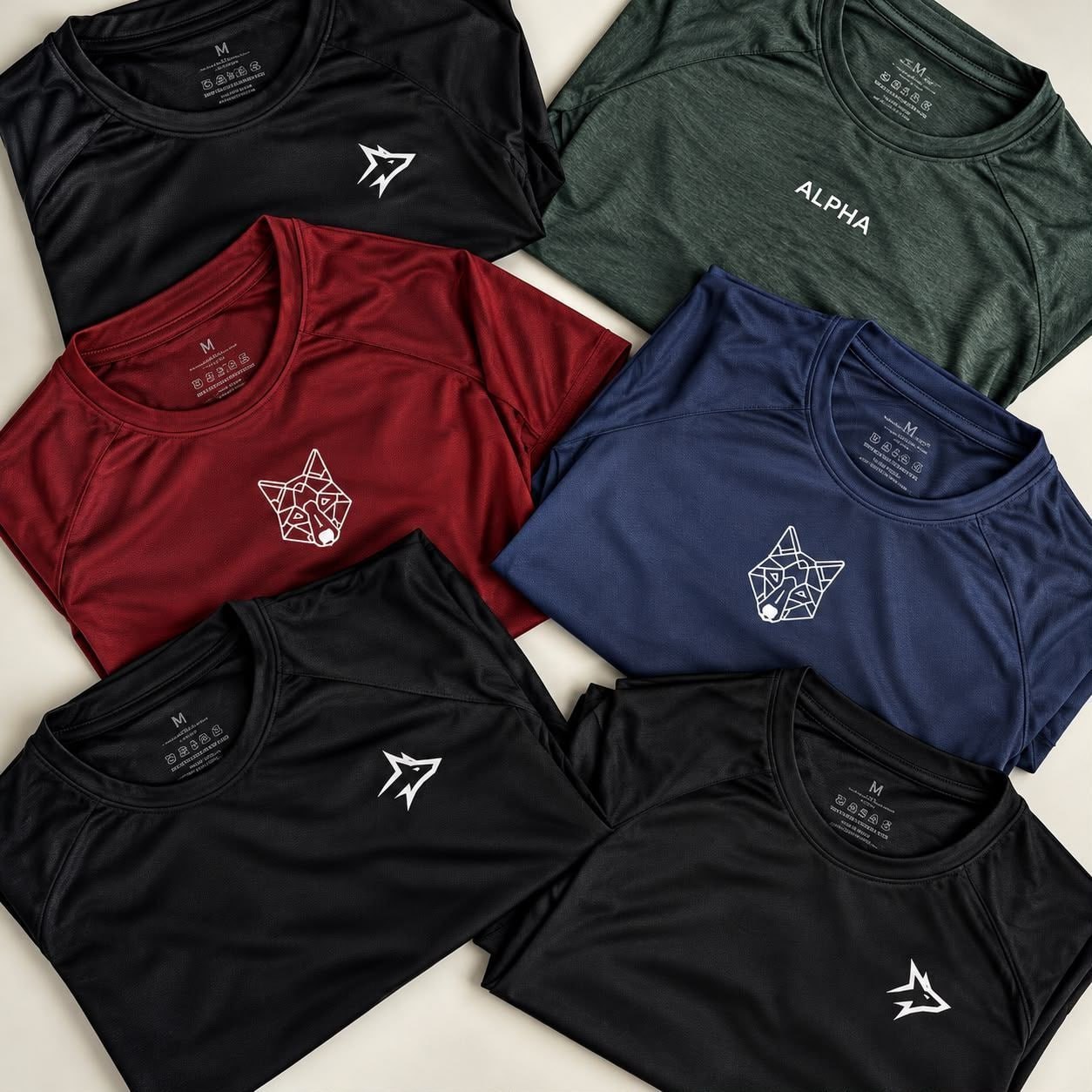 Kit 5 Camisetas Dry Masculina Esporte Treino Alpha
