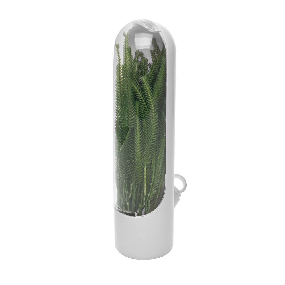 Pote Conservador de Ervas e Temperos Frescos 25cm Branco Plástico Lyor para Cozinha Organiza...